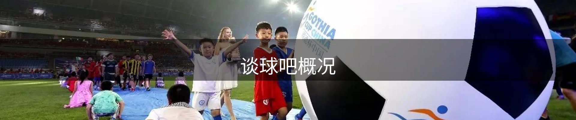 谈球吧概况